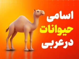 آموزش اسم حیوانات مختلف به زبان عربی