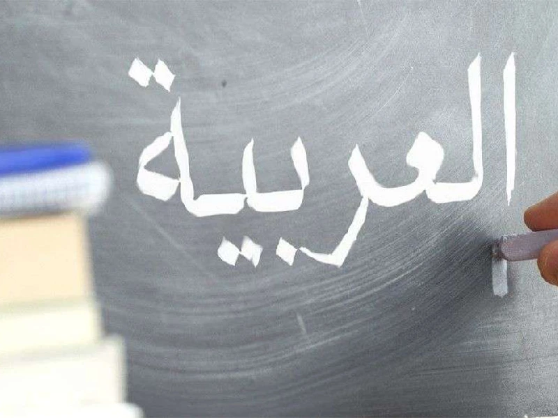 انواع زبان عربی