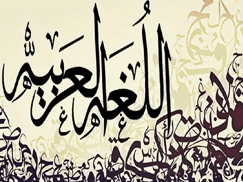 زبان عربی استاندارد مدرن
