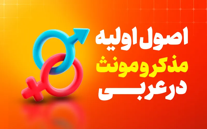 مونث و مذکر به عربی